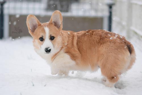 27257592 2f9ebf3fe67f2cd460658bbe83d9e206 xl