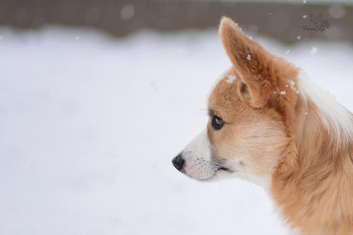 27257594 a6251b4b32648c19c5bb2e3685e1e376 xl