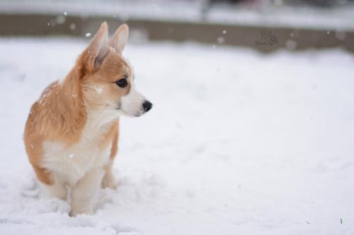 27257596 958a310e2ce32ce4bcd2caf6f449bb18 xl