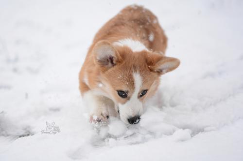 27257598 954e6b842781f4e5014a7acd4eb2de36 xl