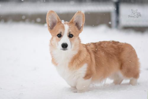 27257600 58e61ac741ad5ed165efc48443e46a62 xl