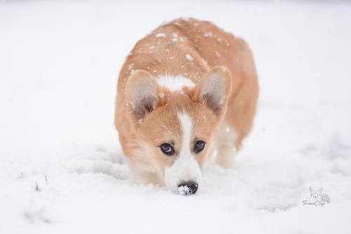 27257602 c1db116886b4eea15178185c34ba6b21 xl