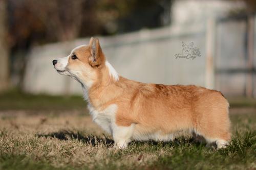 27257604 76225756a5f5c2e5a50109a053f1242c xl