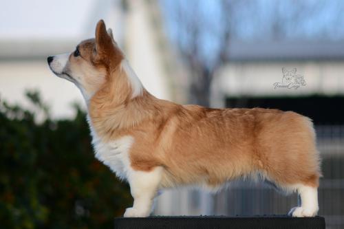 27258588 0f3368f59d832b3d0c9ba2af3136ddf4 xl