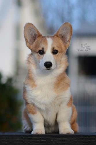 27258590 94f416b93aeb42d293e6c1e30da3acc5 xl