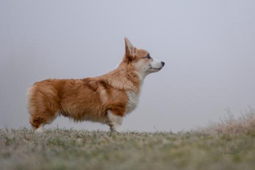 27260628 ba3441f35f2cdc7a5b5da96b5ee3f6b5 xl