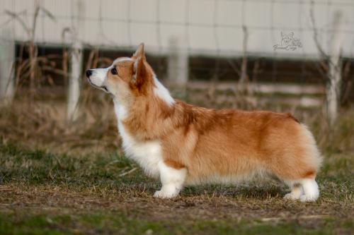 27271006 6dfacd80dd842ecc6de7b150573341ea xl