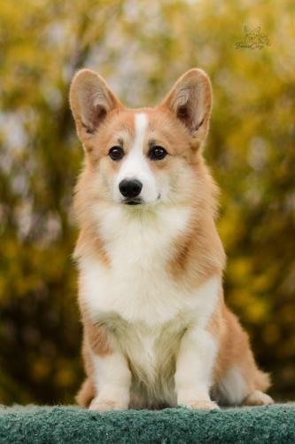 27290260 6b30687d42d9468e4f73986ba0ac47a0 xl