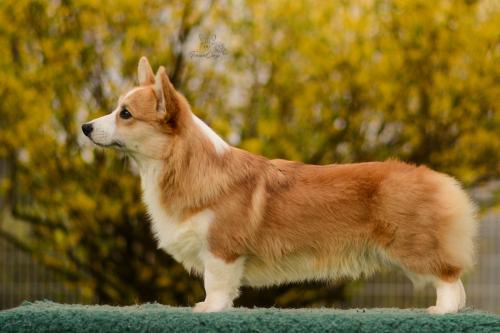 27290262 ab4d57008d31c71b74e173827c14344f xl