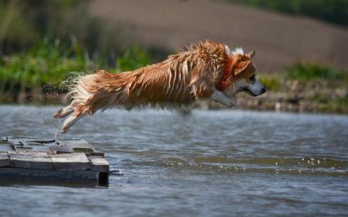 27290282 6c7e17c2fac4891b6f2b6cb5494b9cc9 xl