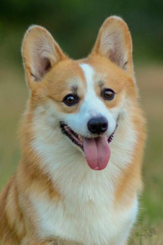 27320214 3fb565bca39cae15bd1fffaed137280e xl