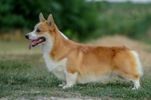 27320866 949d6c61c58713856e7d785c3a64c8b6 xl