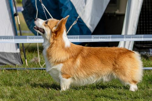 27341798 341ec499d40993f20b31a87976c64c51 l