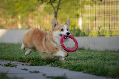 27341800 aed8ac26848921cc90809121622190f3 xl