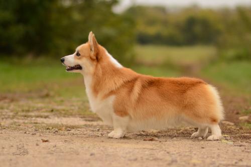 27341922 489f00ede954a041d873d35989abb97a xl