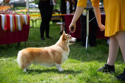 27341936 d3395966e2831c68f1a6711558f75d41 xl