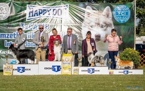 27346520 13abc89838177b367613ee770d80241e xl