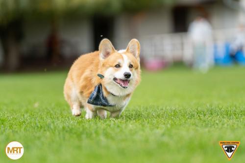 27346522 d399f0341fcd4ab206c570c0d0544a46 xl