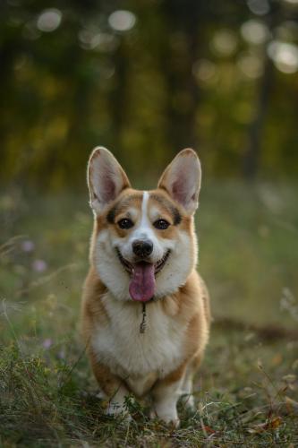 27130206 c20f21472ba2d7364780f9477b45201d xl