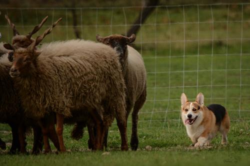 27130238 35fa0af1e0c00e6eac0aad73b46d44ec xl