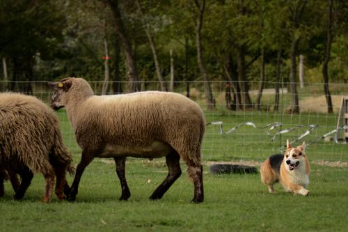 27130246 7f94e2f17ddb2ed9aa85650db2e94c5e xl