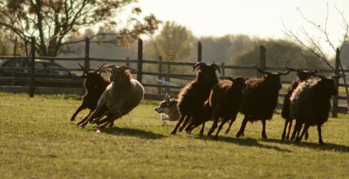 27130690 9246554257afa3e39983d42070ee0dd7 xl