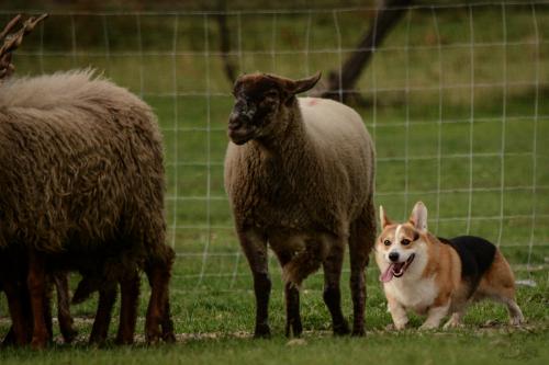 27130692 88fa4c32a966cad99e91a69e9bbb9ce1 xl