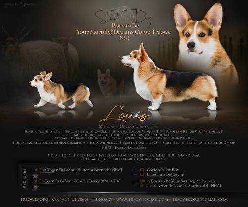 27130696 e3302c2d70eb334e85610ca05db5107a xl