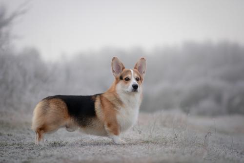 27147476 8a1ecb327bad7f9d18c9ed156781a143 xl