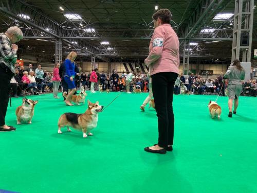 27174644 c2a8e86bd3f4eab27ccc550d808918b8 xl