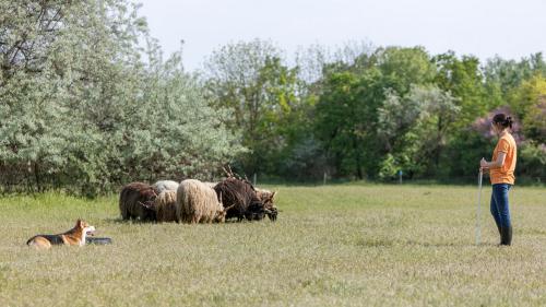 27190978 46669b5fa46e435e2b4fe10e128dd3c8 xl