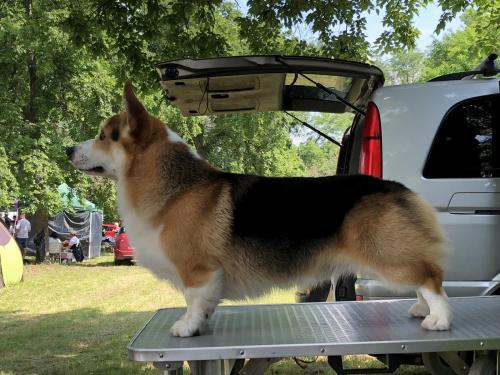 27202720 5ed30bf725d6fda4f527cf5085303931 xl