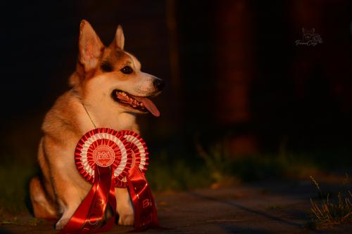 27214904 75afc13bf34c990fee351469df9d1c73 xl