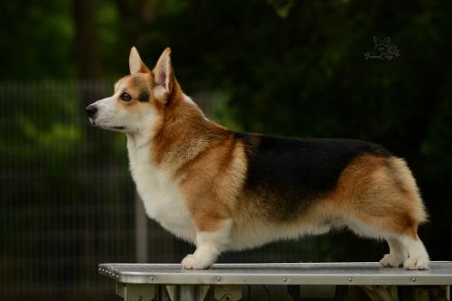 27214908 dc912829572b644900c656c2d724527f xl