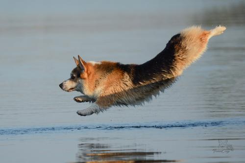 27225184 b4d69bfc3daa86d15b24004f9330fcb0 xl