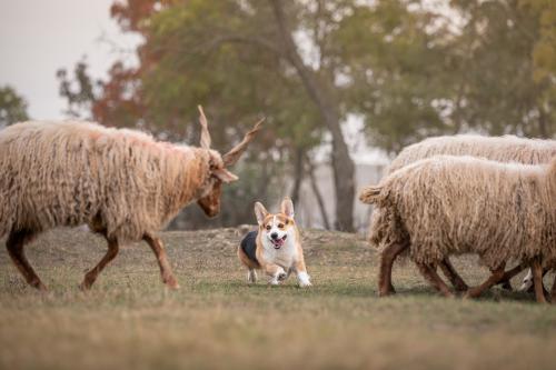 27251888 d56656763e4016b19c14abbbfd3e1572 xl