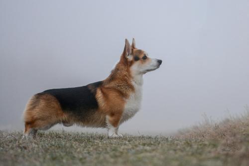 27260624 617453cdec1aadb3be3beb0199cce1b0 xl