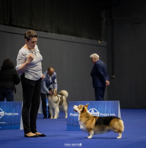 27305326 99bab7867bc49b3d65b37d49f2eb1f8b xl