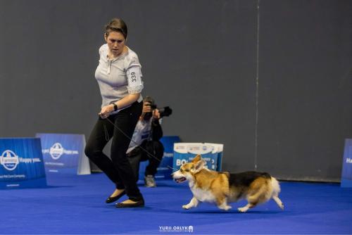 27305328 70fa1437f06f6a98c73e94b98cfb9b0c xl