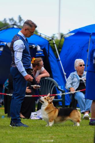 27305330 291da98d4b414a031c6c2a793cd1e2b0 xl