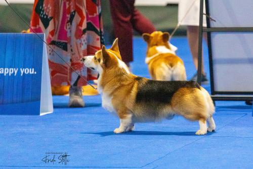 27305366 e9b44a7496a928676eb9f24c206c8cab xl