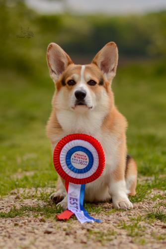 27305368 2a1d32ed1fcfb64b8feee7840e0fb225 xl