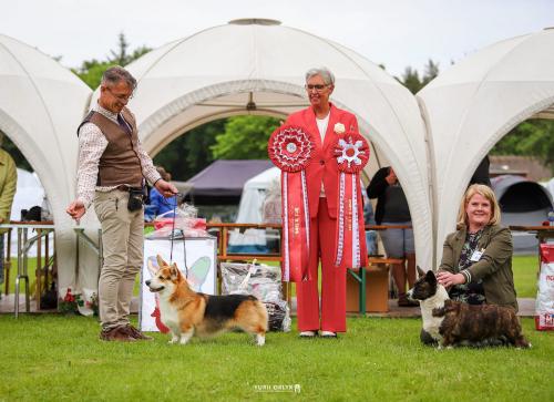 27305370 d23ec725afe2ea0ac3d1d71c660bb3cf xl