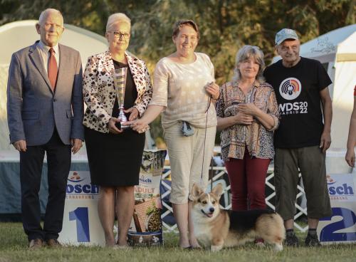 27306478 9f9edc003638ebfa64b9ba109a7df00a xl