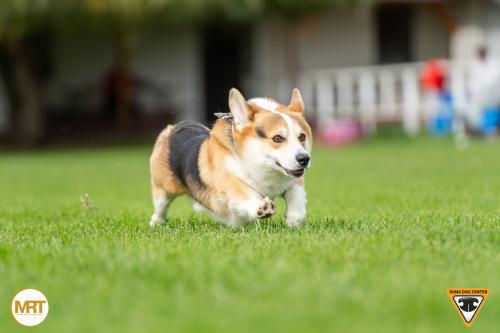 27346526 851c3806f5af0e98bbd4b25f046c7253 xl