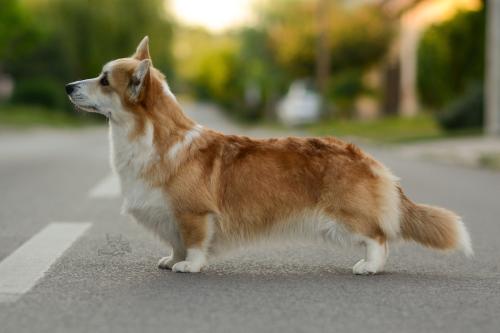 27069091 31e21bfbaa27c3c8b3ce588404e8ba16 xl