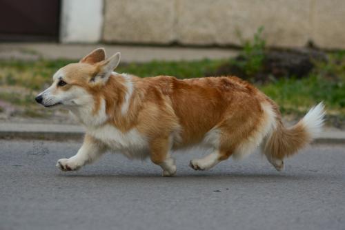 27069093 a8310beada625642d554784550aeaef9 xl