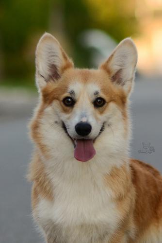 27069095 91946a48a9fab017de2464a8a34157b0 xl