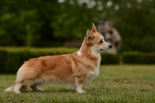 27070715 a21e6bc7dd716fdd9974d26b4af4cc88 xl