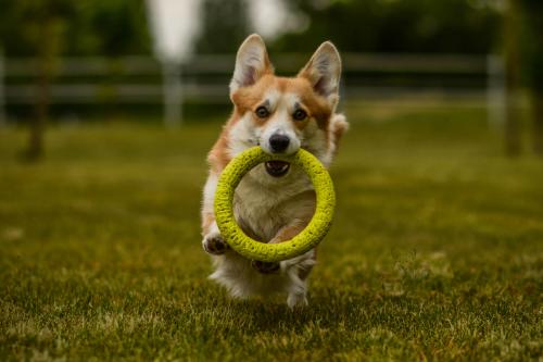 27070719 c8274b03792c32d6bce26f49b392018a xl